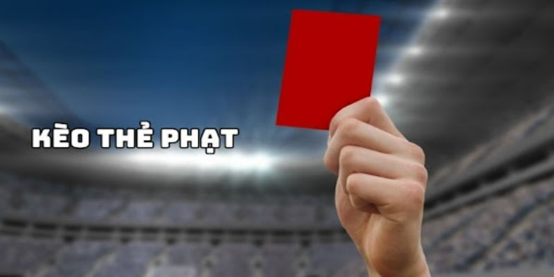 soi keo the phat thong tin co ban